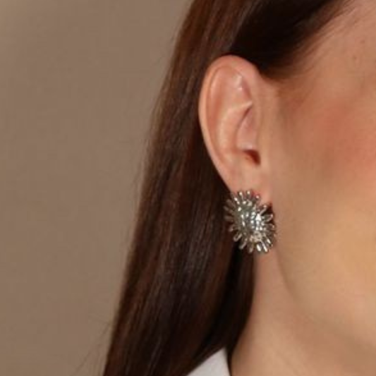 Aretes Solarium